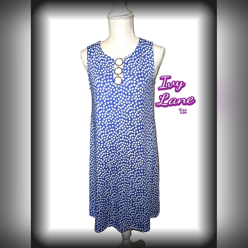 🦩Ivy Lane Blue White Polka Dot Sleeveless plus size A Line shift Dress 1x